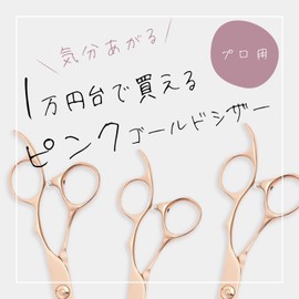 DEEDS Forged Professional Pink Gold Titanium Glasses Handle Scissors (6.0 inch) GDZPG-60 Japanese Shears Professional Manufacturer Hairdresser Barber