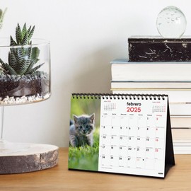 Finocam - Calendar Desktop Images to Write 2025 Month View January 2025 - December 2025 (12 months) Kittens Spanish