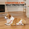 FORGEMATE Waterproof Dog Raincoat & Protective Vest | Corgi Dachshund