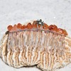 Spider on a Tumbled Orange Carnelian Stone Hair Comb (QTY