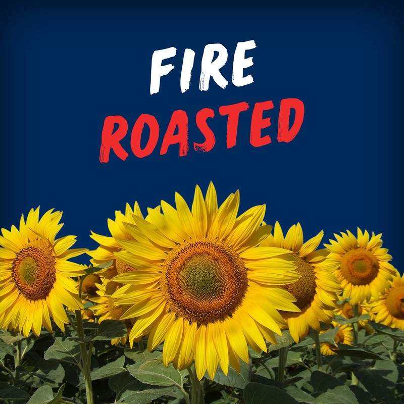 BIGS® Salted & Roasted Original Flavour Sunflower Seeds, 140 grams