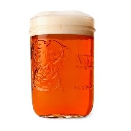 Lagunitas 16 Ounce Mason Jar Glasses, Set of 2