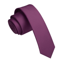 JEMYGINS 1.58" Purple Skinny Tie Slim Necktie for Men(4cm) (12)