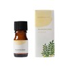 Tree of Life Essential Oil Frankincense 5ml