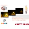 Satco S29877 Candelabra Bulb in Light Finish, Clear