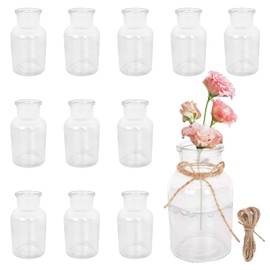 12 Stück Kleine Glasvasen Set, 125ml Mini Vasen mit 5m Juteschnur, 10.3cm Hoch Blumenvasen Vase Deko Kleine Vasen für Tischdeko Zuhause Hochzeiten Geburtstage Feste - Spülmaschinenfest