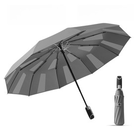 erised's bifrost Fast Folding Automatic Travel Compact Umbrella With Fixed Patch Windproof Strong/Automatic Open Close/Anti Rust/Portable/Anti Sun Rain/Women Men/Ergonomic Handle