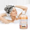 Ginger Lily Farms Botanicals Moisturizing Shampoo for All Hair Types,