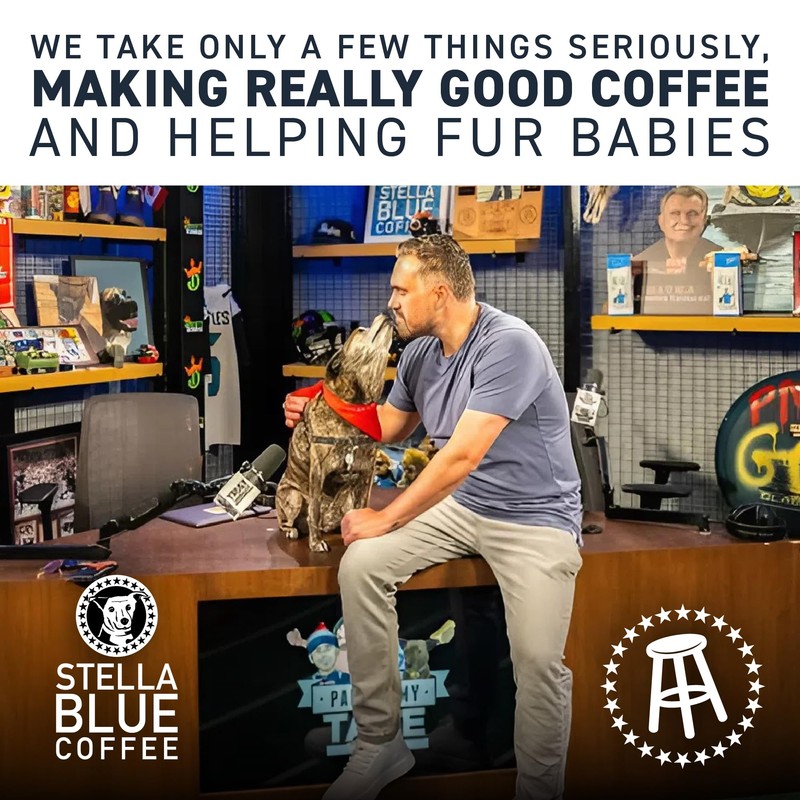 STELLA BLUE Fresh Whole Bean Coffee | Big Cat Blend