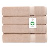 Delara Organic Cotton Luxuriously Plush Bath Sheet Pack of 4