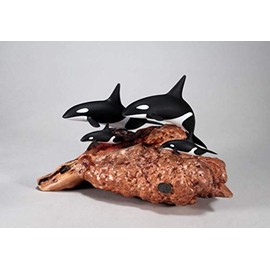 Orca Killer Whale Sculpture Super Family (2 adults, 2 calves) by John Perry Statue on Burl Wood Airbrushed