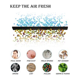 6 PCS Replacement Filter for Cat Litter box Square Shape Carbon Filters for Hooded Cat Litter Tray Toilet Pan Odor Control