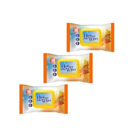 3 x Hayfever Allergy Relief Wipes - Natural Remedy Hayfever Relief Wipes – Strong Allergy Hay Fever Wipes for Adults & Children – Hay Fever Allergy Wipes Travel Pack- 90 Wipes Total