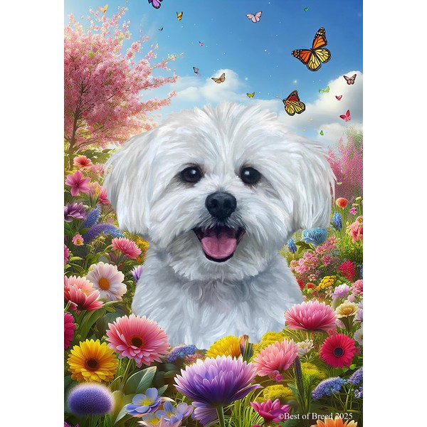 Maltese - Best of Breed Spring Butterfly Outdoor Garden Flag