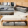 Meetue Under Bed Storage with Wheels, 2 Pack 75L Underbed
