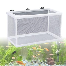 FujiFrugal Fish Breeding Isolation Box, Egg Spawning Case, 1 Piece, 10.2 x 5.9 x 5.9 inches (26 x 15 x 15 cm), Suction Cup, Aquarium, Hatching, Isolation, Net, Aquarium Accessories, Observation Case,