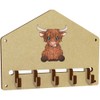 Azeeda 'Highland Cow' Wall Mounted Key Hooks/Holder (WH00065356)