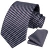 HISDERN Ties for Men Check/Plaid/Polka Dot Tie with Pocket Square