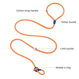 Maogoublue 4.9FT Durable Nylon Dog Leash with Comfortable Handle for Walking and Training, pet Leashes Featuring for Medium Dogs Small Puppy (Turquoise)