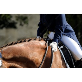 Take it easy globules - for love for your horse - natural globules for anxiety, stress, restlessness, storms, noise, transport and tournament (doping-free), bioenergetic/radionic informed with Bach