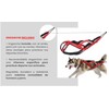 Total Harness Anti Traction for Sports with Dog, Running, Canicross,
