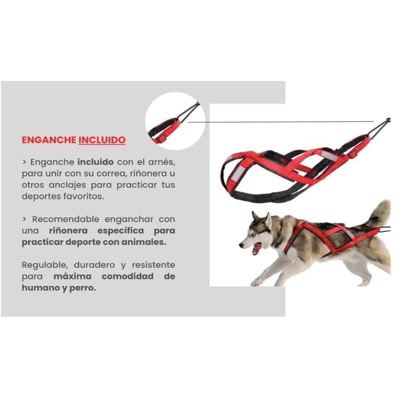 Total Harness Anti Traction for Sports with Dog, Running, Canicross,