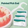 Ultra-Fine Dental Floss Picks with Pointed Toothpick, 150/300/600/1000 Count Options