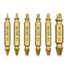 Asheyya 6PCS Screw Remover and Extractor Bit Set, Double Ended