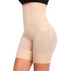 Werena Tummy Control Shapewear Shorts for Women Seamless High Waisted Body Shaper Shaping Underwear Girdle Panties (#589 Nude-5, Medium)