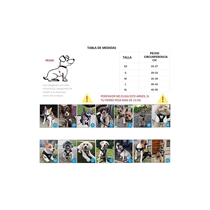 Arnés con correa para Perro Chico o Gato, diseño cómodo