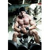 Beta Alanin Qualitativ Hochdosierte Kapseln für das Training Trainingsbooster 120