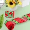 2 x Watermelon Ribbons, 5 Yard x 2.5 Inch Watermelon