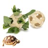 Vitisyao Tortoise Treat Ball, Hay Feeder Ball for Small Animals,