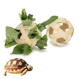 Vitisyao Tortoise Treat Ball, Hay Feeder Ball for Small Animals, Foraging Toy for Turtle, Guinea Pig and Rabbit