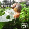 Baba De Caracol Genuina - Crema Aclarante Helixus