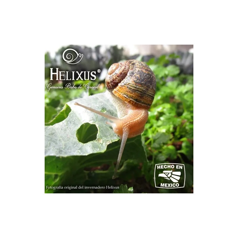 Baba De Caracol Genuina - Crema Aclarante Helixus