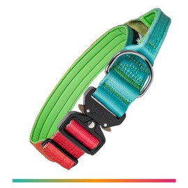 TSPRO Premium Dog Collar with Handle and Heavy Duty Quick Release Metal Buckle, Durable, Adjustable and Thick Dog Collars for Medium to Large Dogs (Vitality Gradient L)