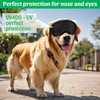 Middle Dog Goggles UV Protection, Dog Sunglasses Transparent Lens, Windproof