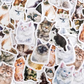 92 Sheets Stickers, Notebook, Cats, Dogs, Animals, Collage, Flowers, Stylish, Coffee, Black and White, Cute, Funny Index, Sticker Pad (Kitten Selfie)