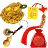 3 Pieces Feng Shui Money Frog Chinese Knot Lucky Coins