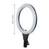 Ring Light 26cm DIA High Brightness Timing LED Selfie Ring