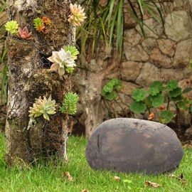 Stone Key Box Key Outside Hider Garden Key Holder Frog Patio Decor Hide a Key Statue Hide a Key Rock Realistic Looking Rock Key Hideaway Outdoor Key Hider Stone mini Decorate Resin