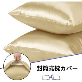 Set of 2 Satin Pillow Covers Envelope Pillowcase for Skin Beauty Hair Double Sided Silk Smooth Material Anti-Static (50*70, Champagne)