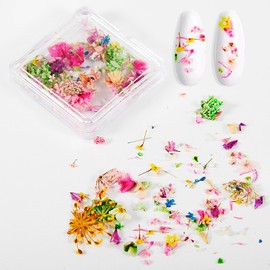 XEAOHESY 4 Boxes Real Natural Dried Flowers for Nails Tiny Flower Nail Art Stickers Colorful Dry Flowers for Nails(Color 1)