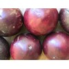 yunakesa Caimito Purple Star Apple Chrysophyllum cainito Seedling Plant Potted