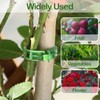 100 Pcs Plant Support Clips, Secure Plastic Plant Clips for