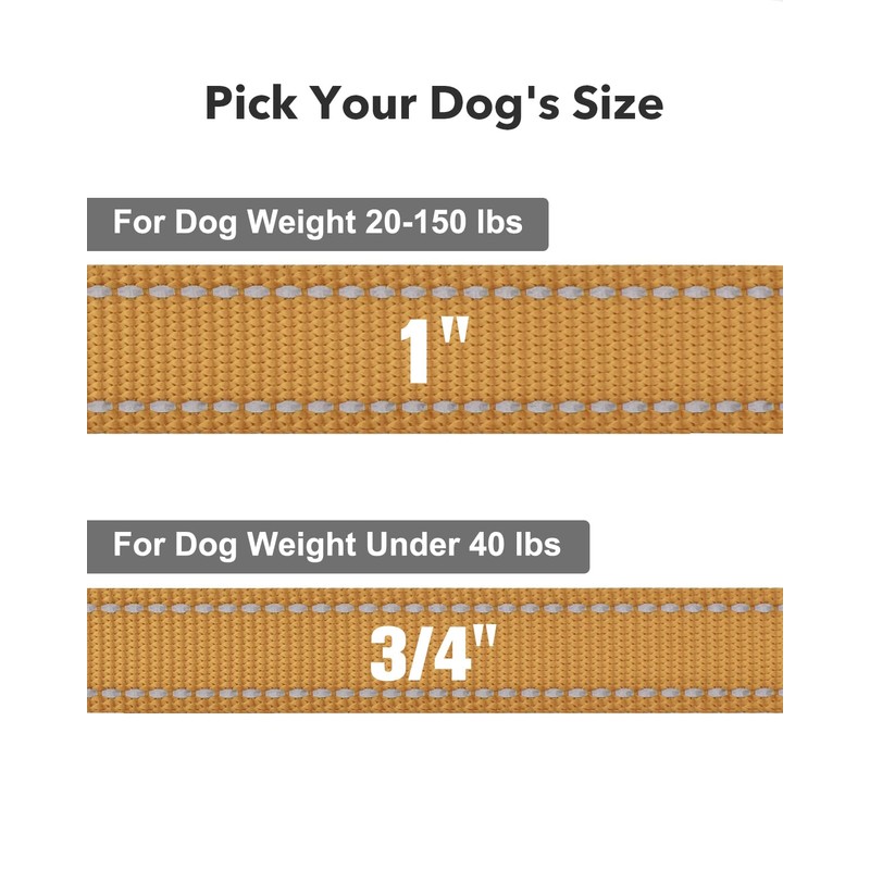 Taglory Dog Leads for Medium Large Dogs | Double Sided