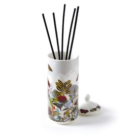 CXL by Christian Lacroix | Fragrance Sticks in Porcelain Holder Jardin D'hiver - Fig - 100 ml