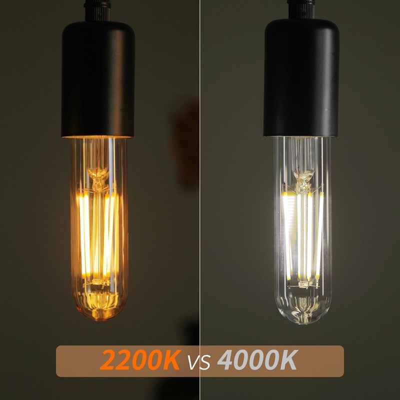 Decoaui E26 T10 LED Light Bulbs, 5 Inch Vintage Tubular