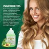 Dominican Magic Detangler Avocado Conditioner - Hair Conditioner for Women,